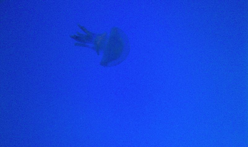 nEO_IMG_IMAG0151.jpg
