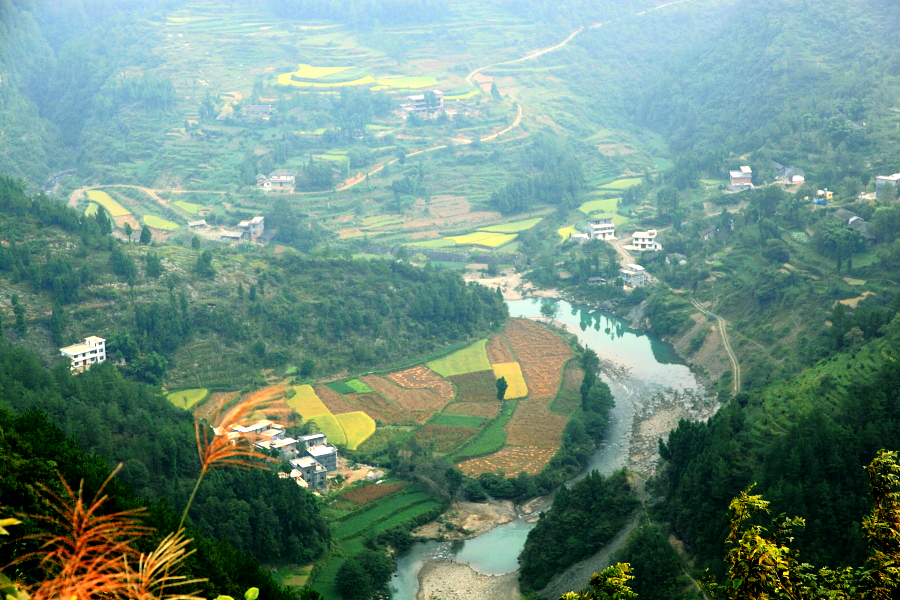 06.JPG