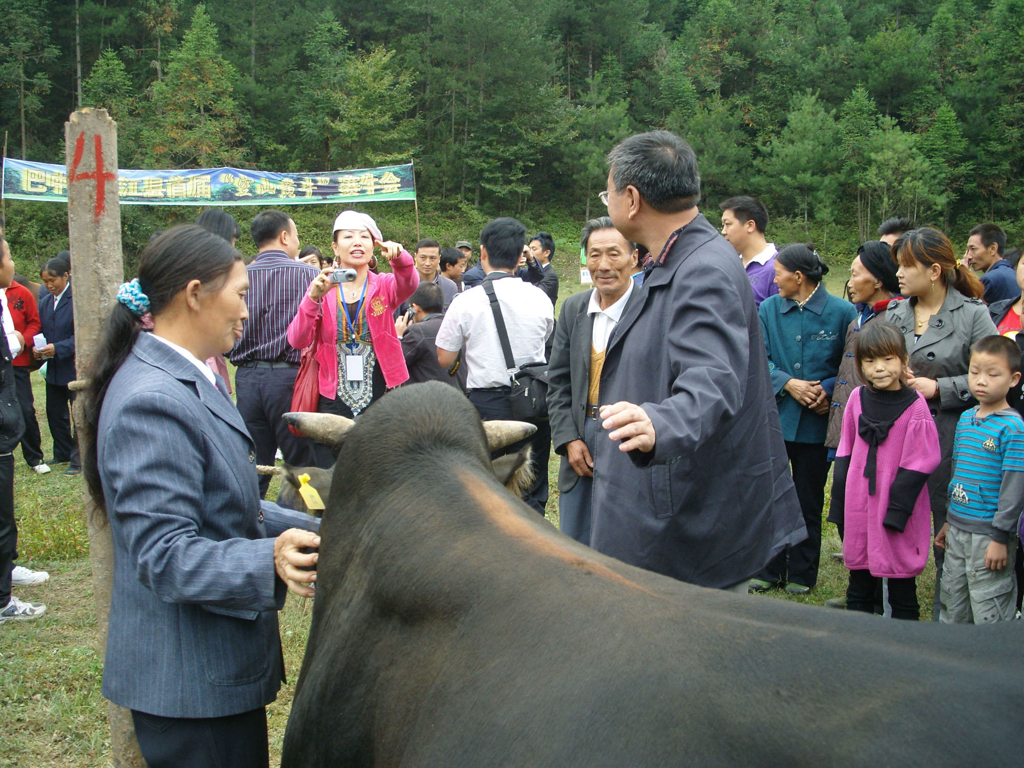 SNV13745.jpg