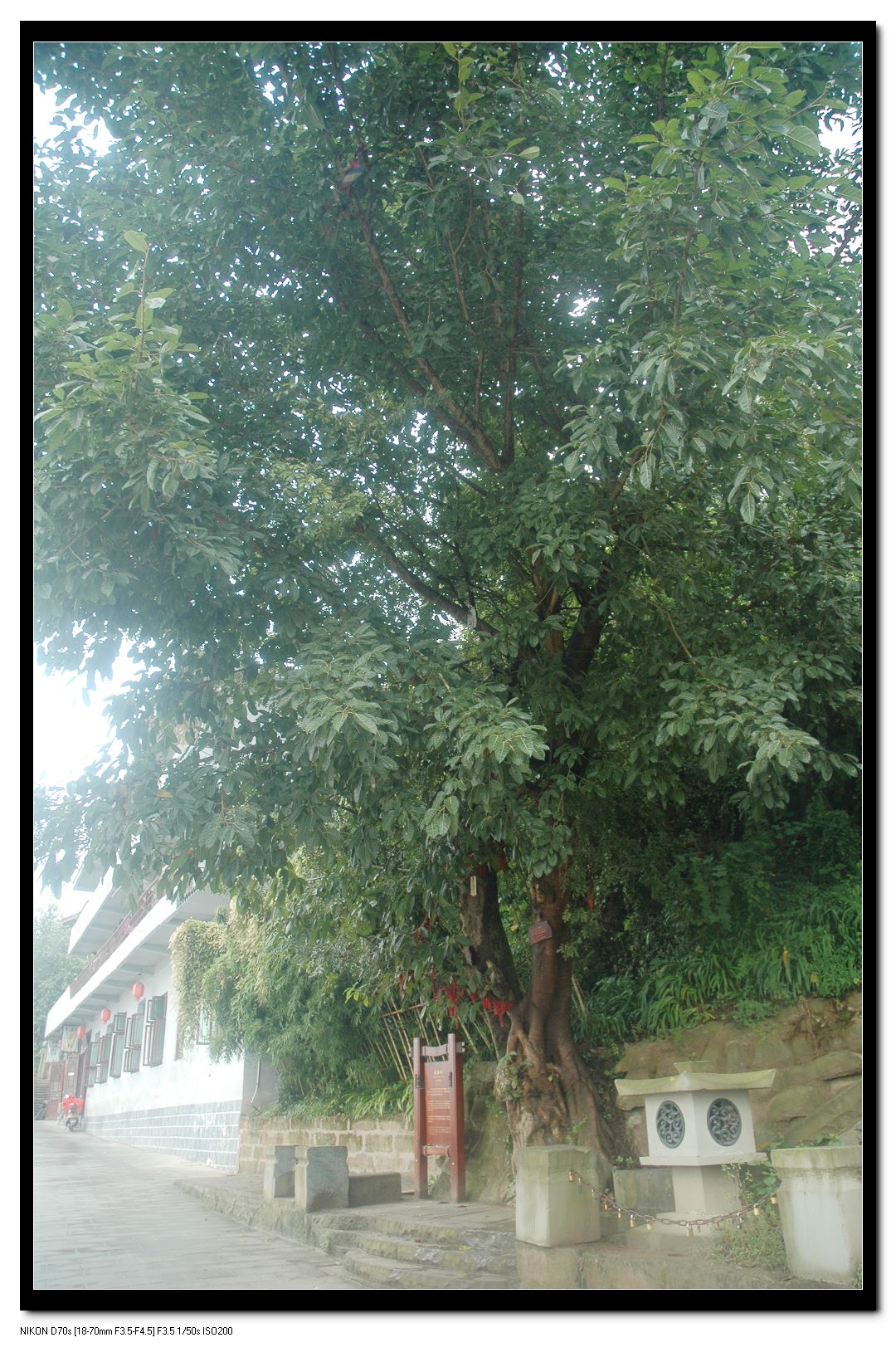 2010928Ƭ 002.jpg