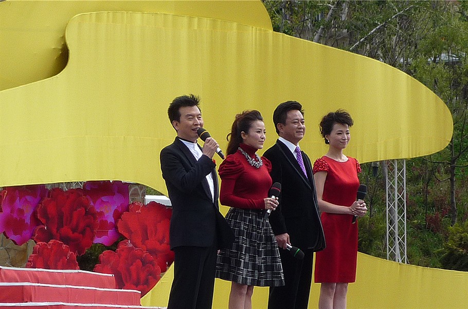 张泽群,朱迅,朱军,董卿_副本.jpg