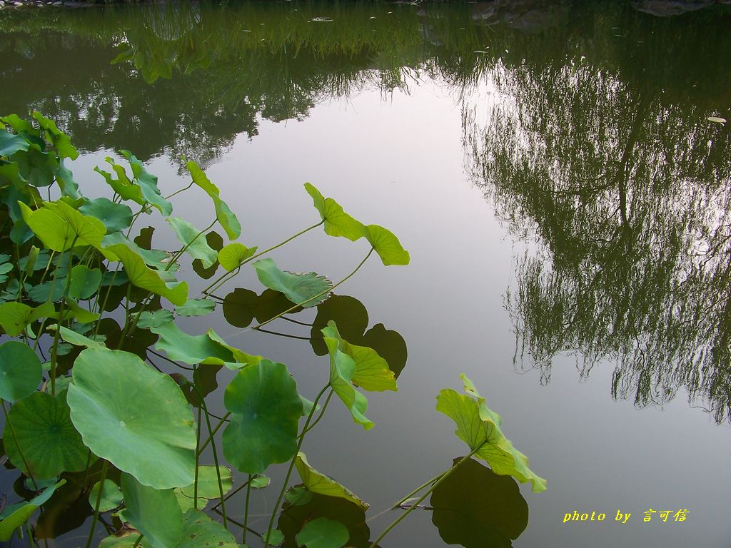 100_1236.JPG