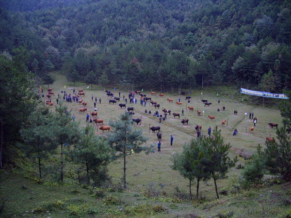 SNV13563.jpg