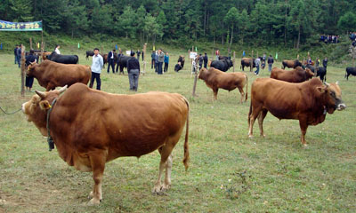 SNV13592.jpg