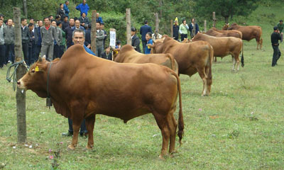 SNV13619.jpg