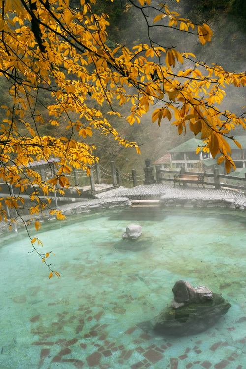 20081006_08de5764e54ced0206c06W1htHJaD5O2.jpg