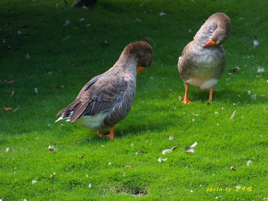100_1449.JPG