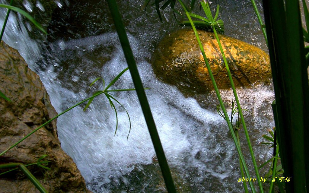 100_1473.JPG