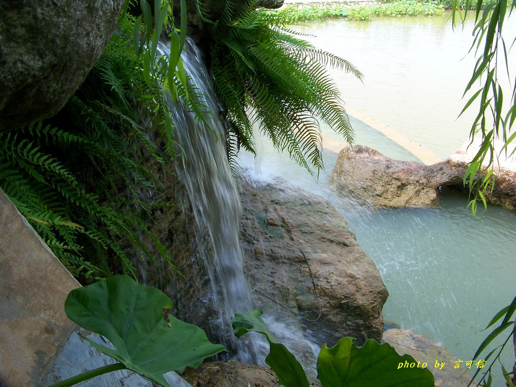 100_1481.JPG