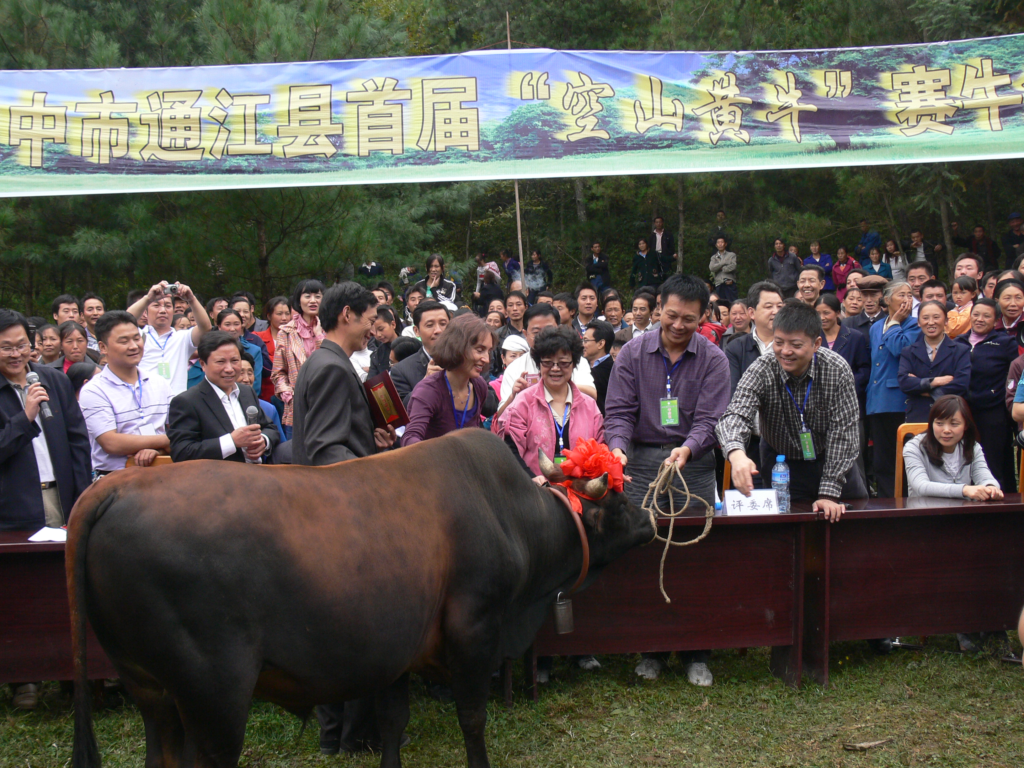 P1180786.JPG