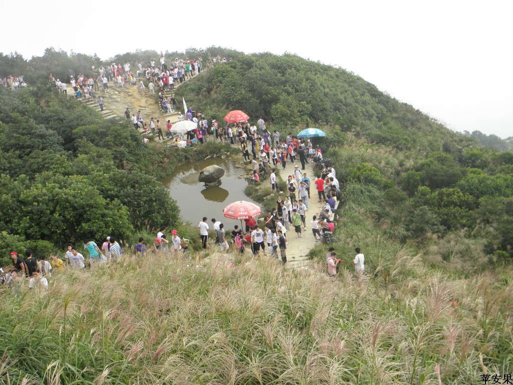 PA013604.jpg