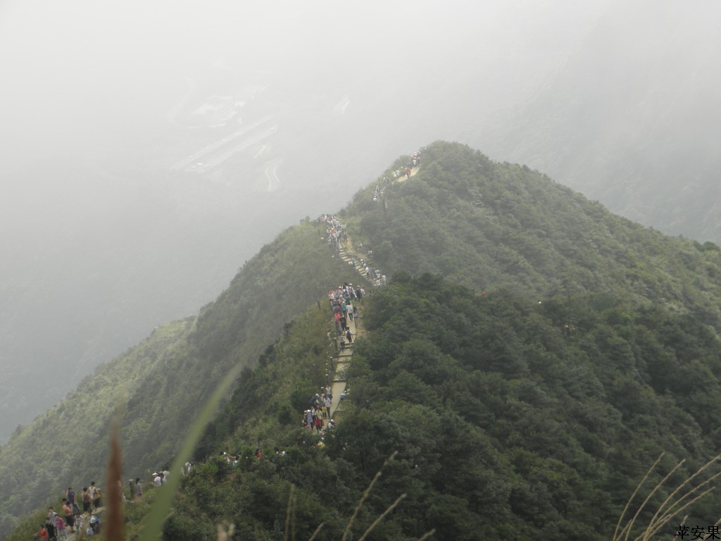 PA013637.jpg