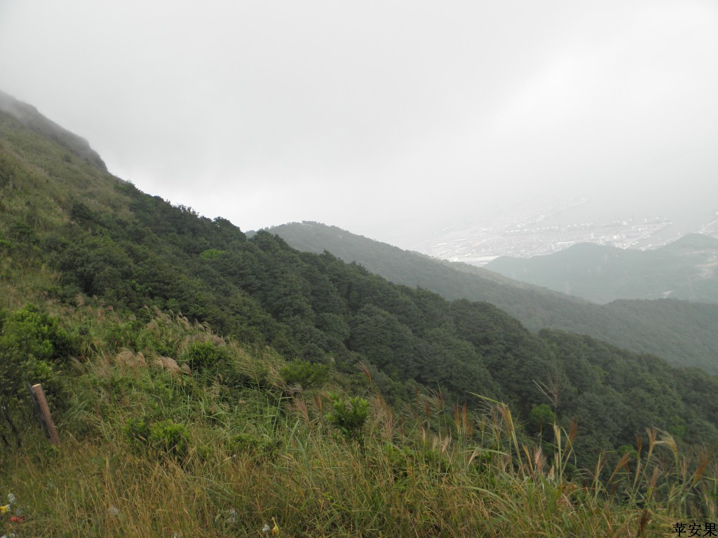 PA013674.jpg