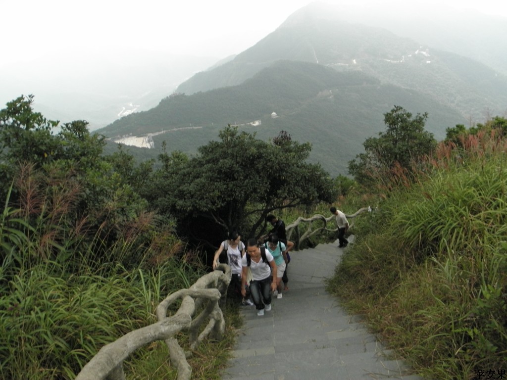 PA013546.jpg