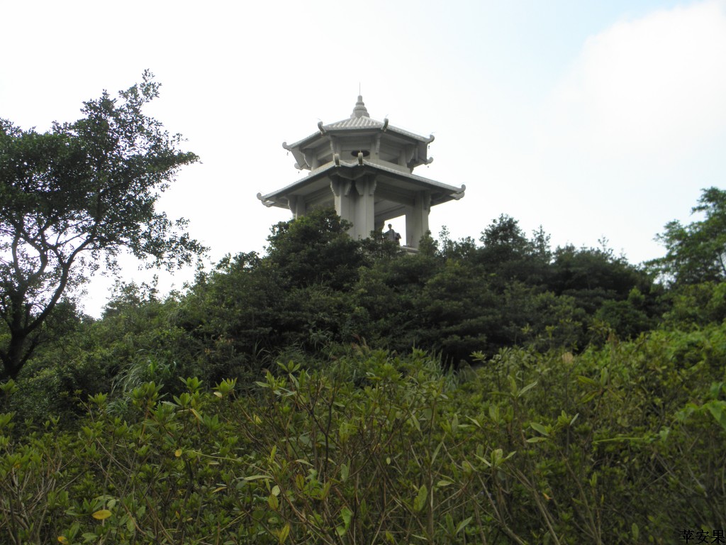PA013738.jpg