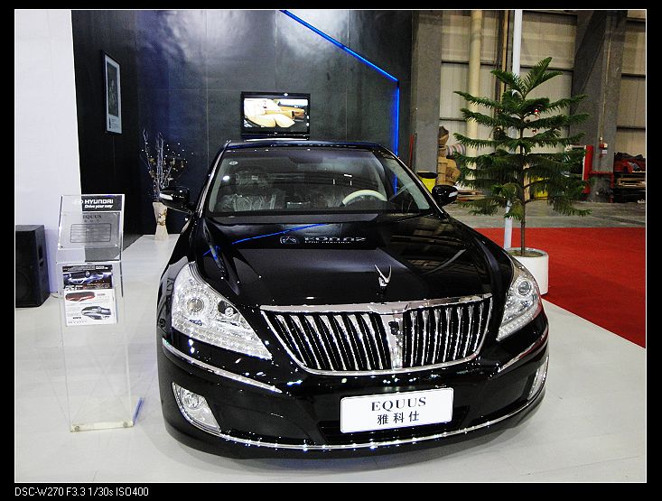 nEO_IMG_DSC00772.jpg