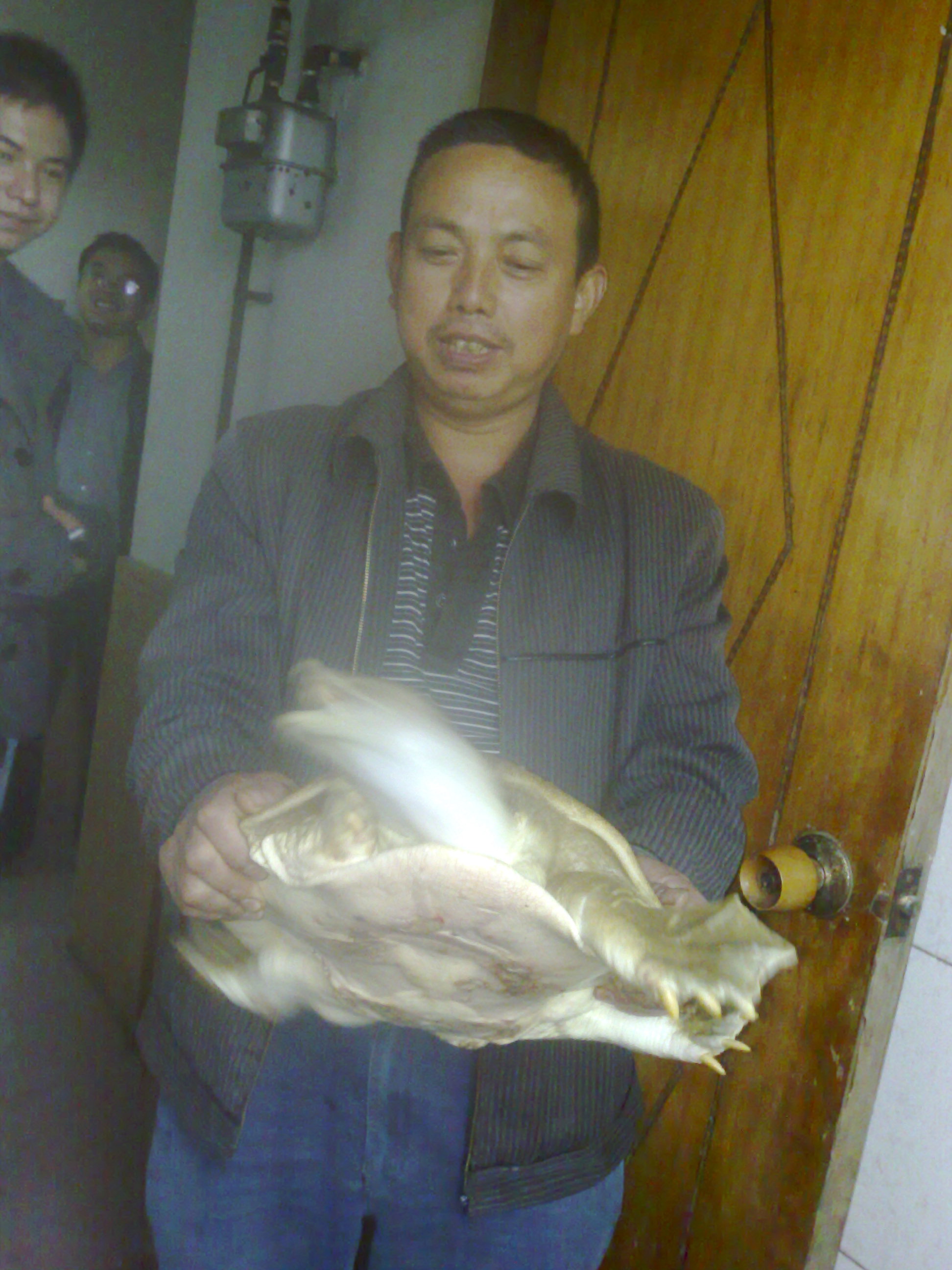 20101001038.jpg