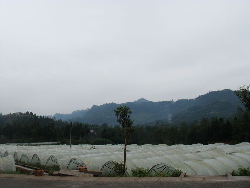 2015.jpg