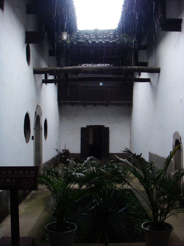 2250.jpg
