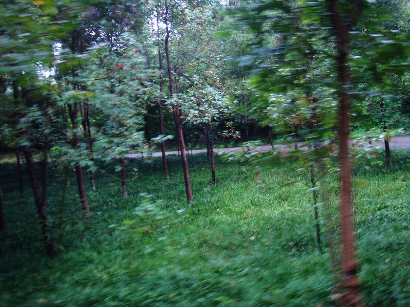 2268.jpg