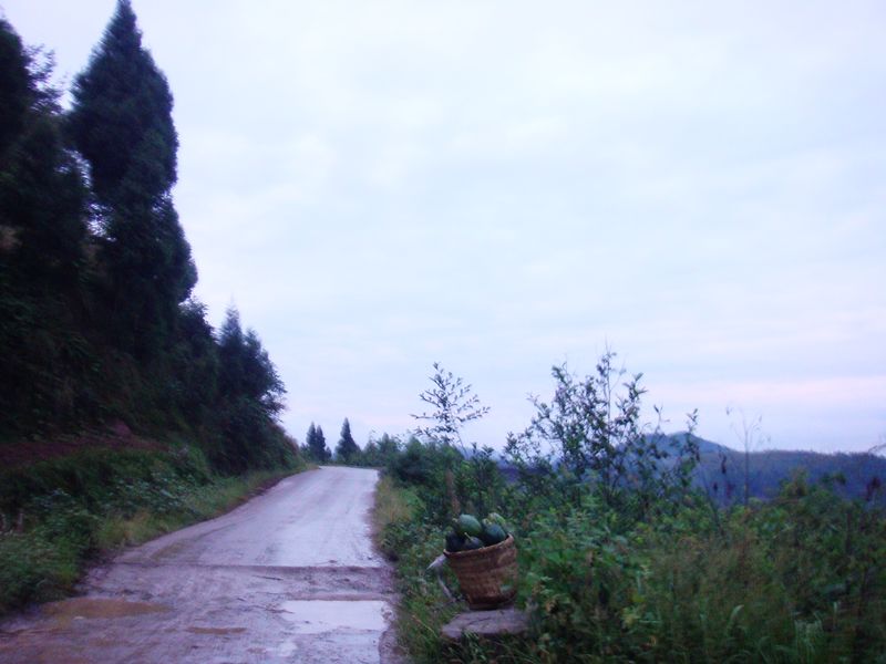 2335.jpg