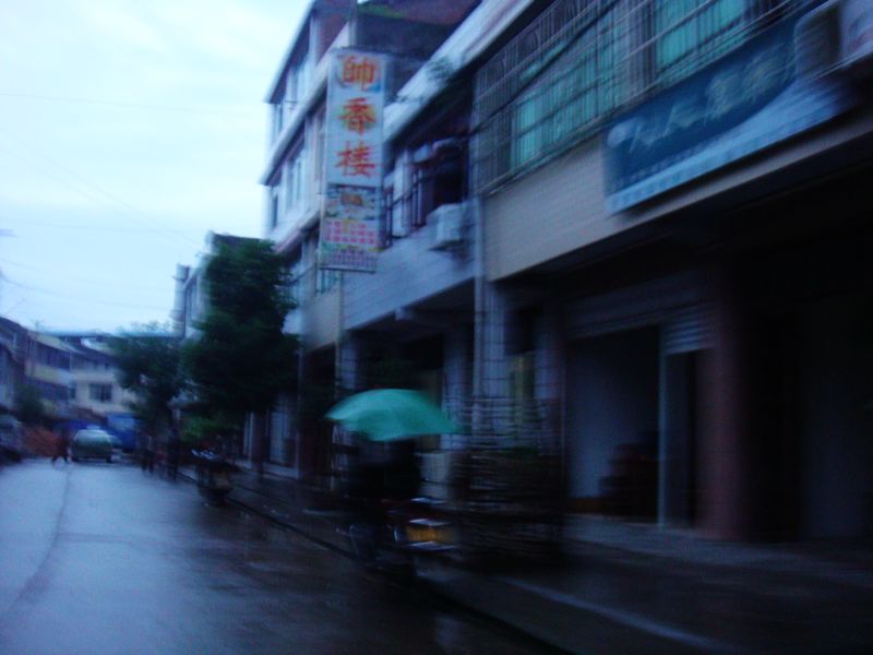 2341.jpg