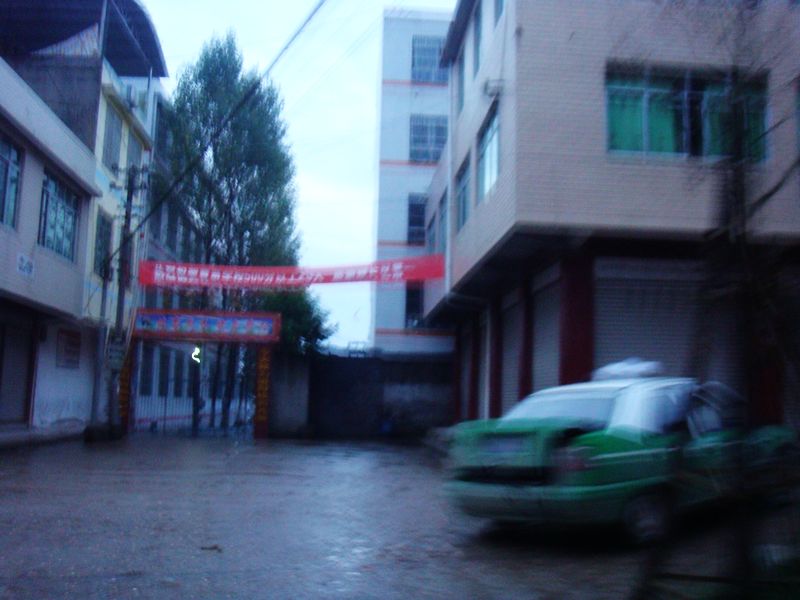 2342.jpg