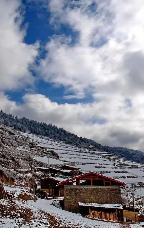 DSC_0133.JPG