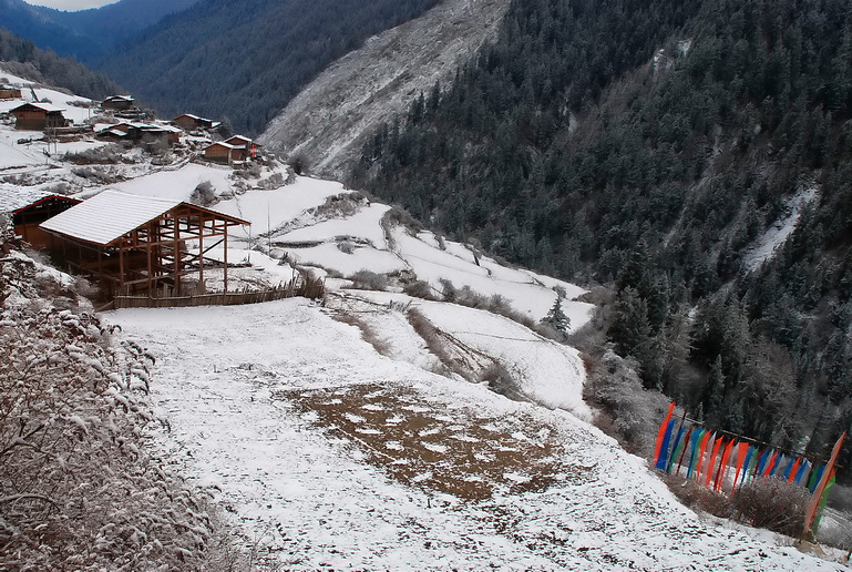 DSC_0135.JPG