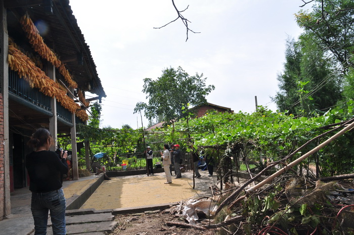 DSC_0403_С.jpg