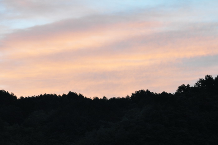 DSC_0173_С.jpg