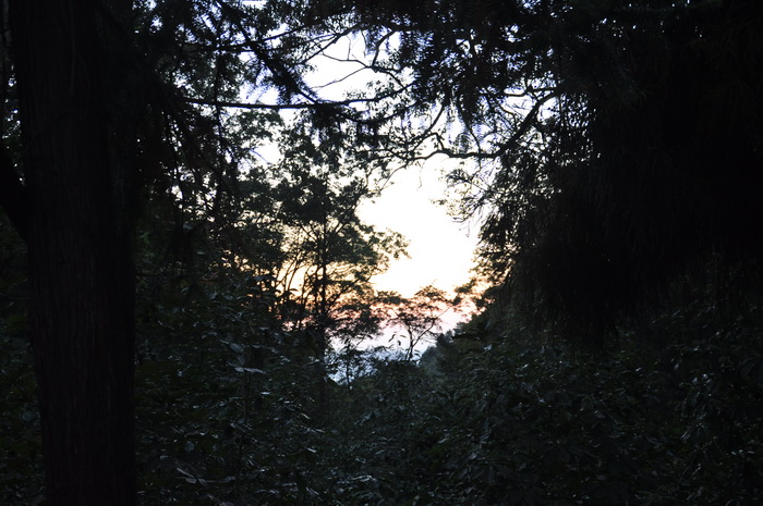 DSC_0155_С.jpg