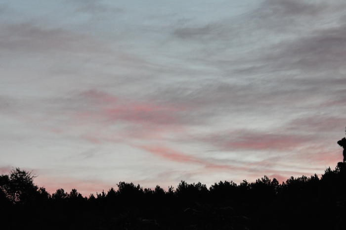DSC_0164_С.jpg