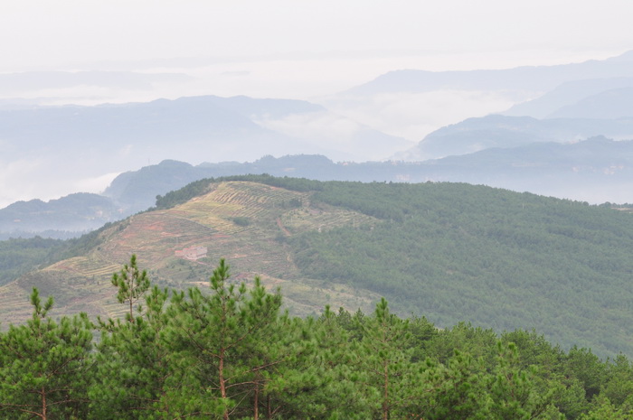 DSC_0223_С.jpg
