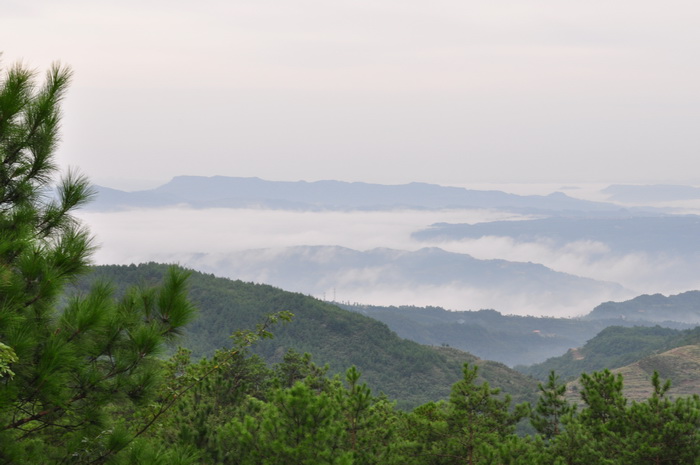DSC_0219_С.jpg