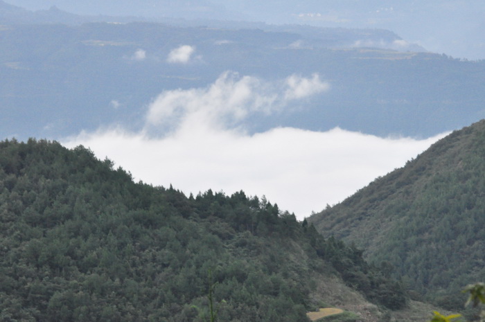 DSC_0171_С.jpg