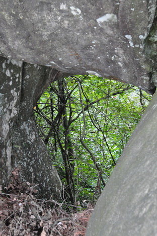 DSC_0242_С.jpg