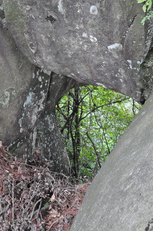 DSC_0243_С.jpg