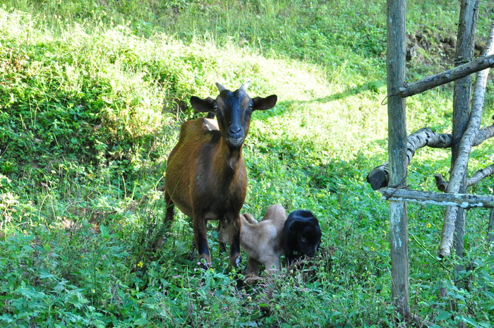 DSC_0102_С.jpg