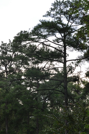 DSC_0189_С.jpg