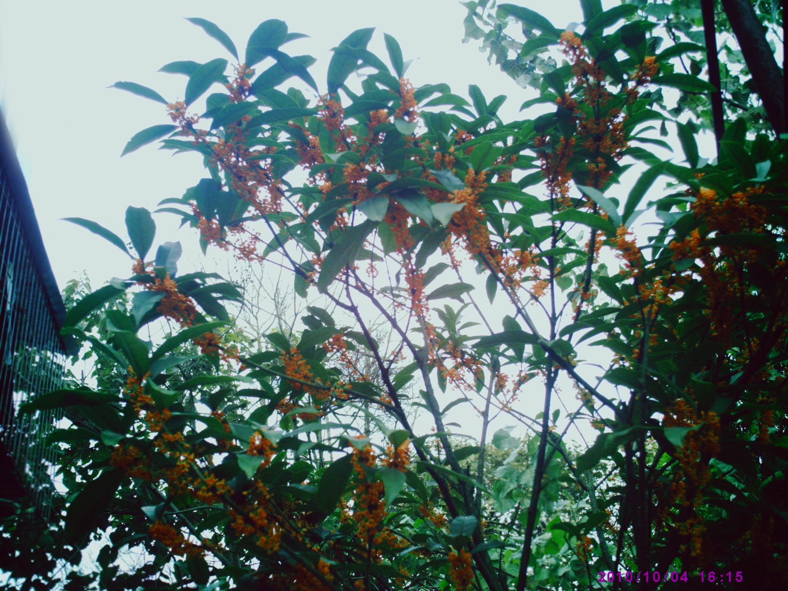 PIC00004.JPG