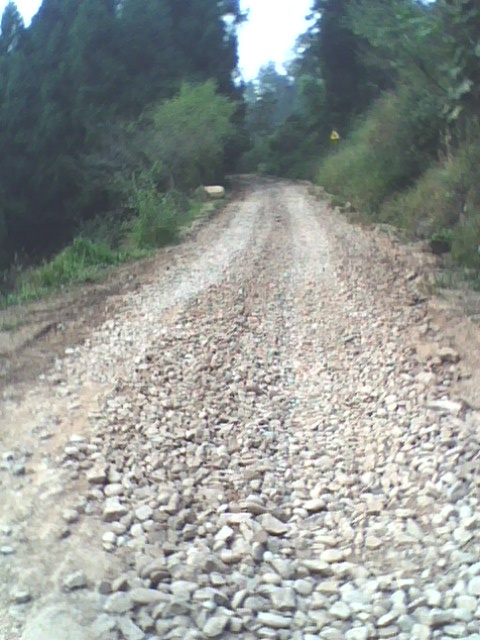 IMG0525A.JPG