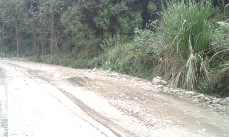 05.jpg