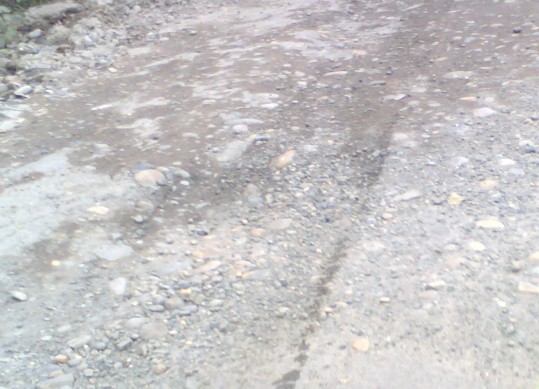 04.jpg