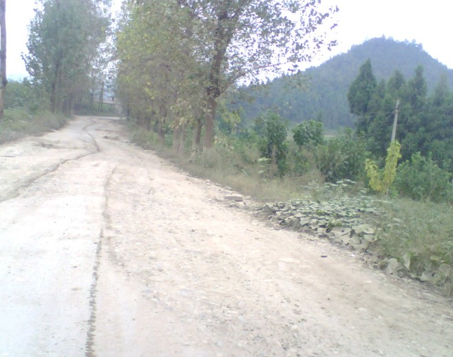 09.jpg