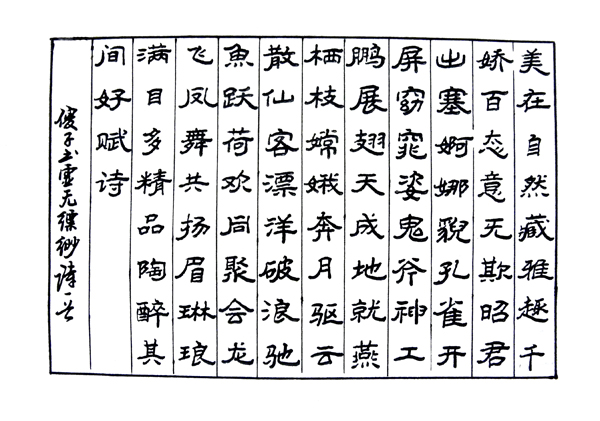 DSCN8362.jpg