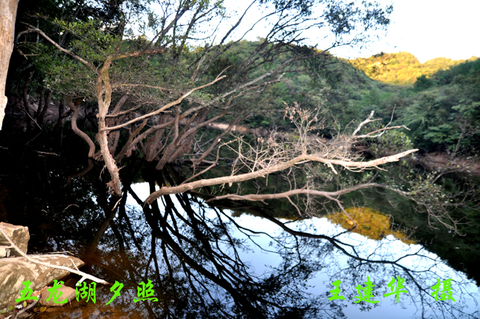 DSC_0422 .jpg