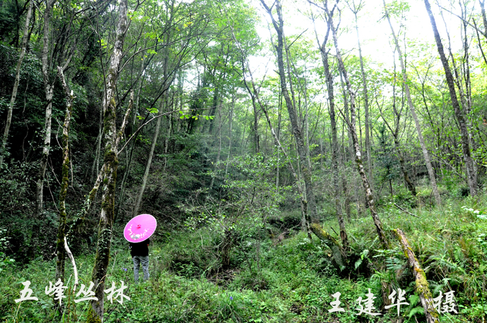 DSC_0621 (70) .jpg