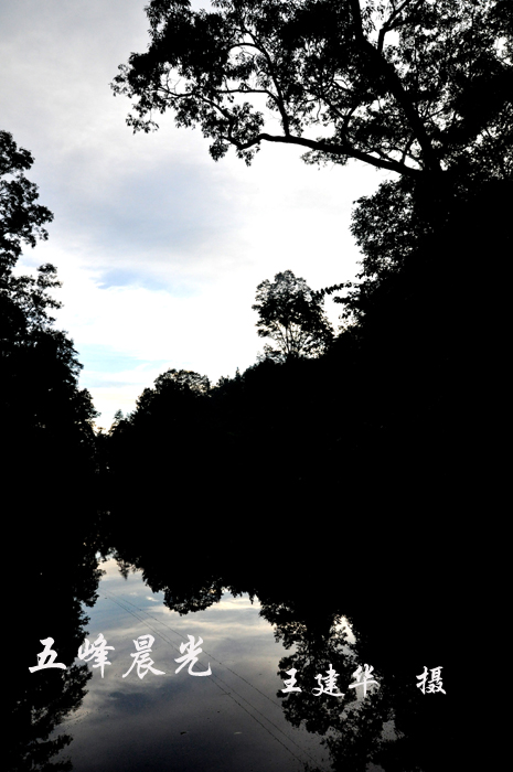 DSC_0471 .jpg