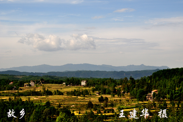 DSC_0676 (123) .jpg
